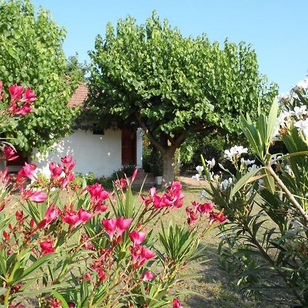 Engin Pension Çıralı Esterno foto