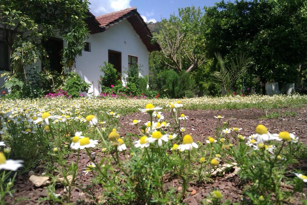 Engin Pension Çıralı Esterno foto