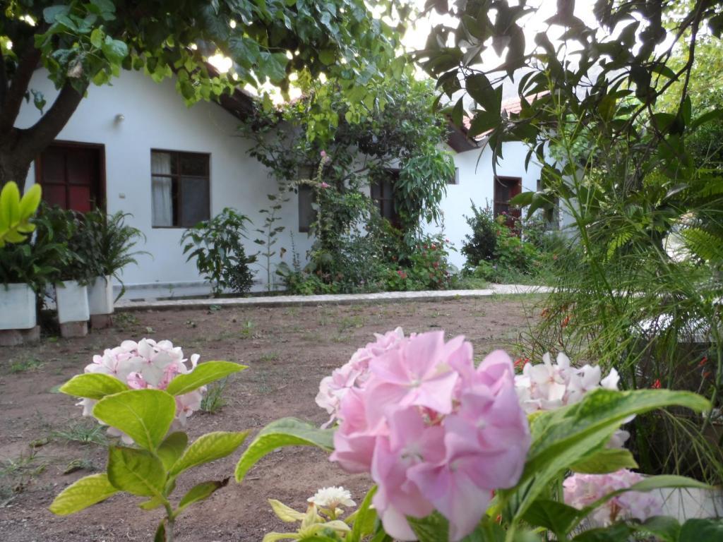 Engin Pension Çıralı Esterno foto